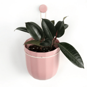 Pink Hanging Planter on white wall with houseplant inside