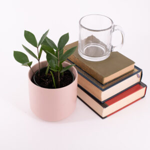 ZZ Plant in a cute pink pot next to a stack of books
