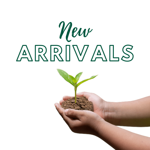 New plant arrivals shop online
